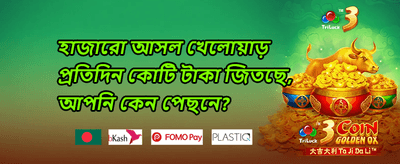 ১০০% প্রথম ডিপোজিট ম্যাচ 💰 promotion